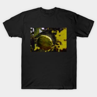 Bright lemon illustration T-Shirt